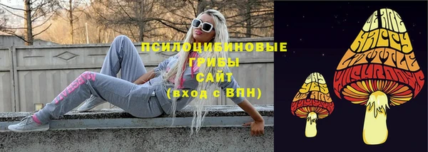 ГАЛЛЮЦИНОГЕННЫЕ ГРИБЫ Надым