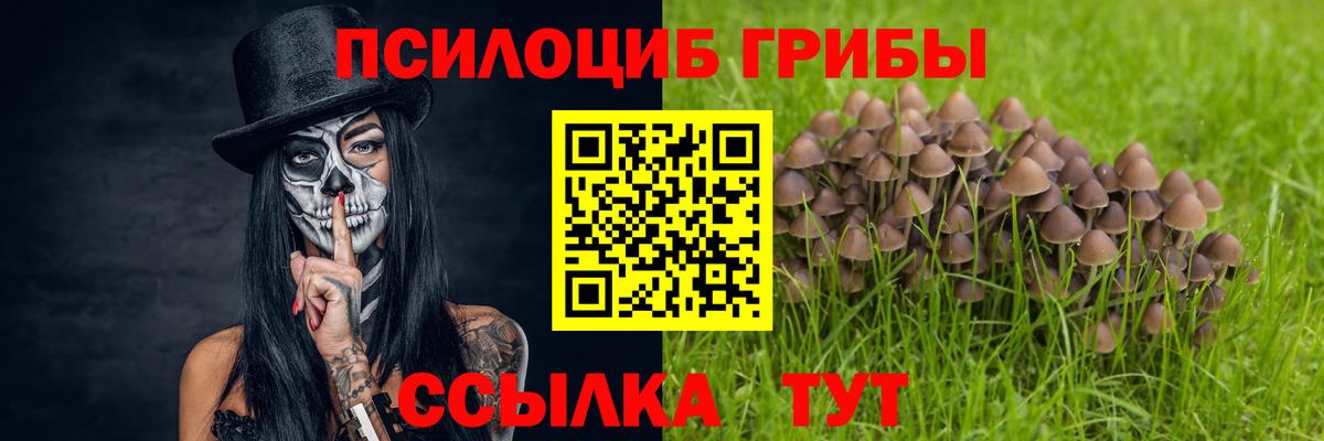 наркотики  Вход с VPN  Псилоцибиновые грибы ЛСД  Ангарск  Галлюциногенные грибы GOLDEN TEACHER 