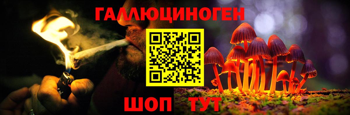 Псилоцибиновые грибы прущие грибы Ангарск
